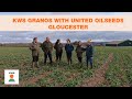 KWS Granos with United Oilseeds - Gloucester