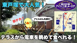 珍しい！線路際の絶品スイーツ！！【アイス工房メーリア】アヒルさんを探せ！【東戸塚のおしゃれなテラス席】牧場直営ジェラート