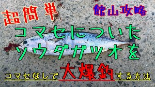 【超有料級！？】これを見てから館山行った方がよさそうな気がする動画