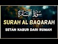 SURAH AL-BAQARA - Setan kabur Dari Rumah - Penning Hati dan Pikiran by AHMAD ALSHALABI