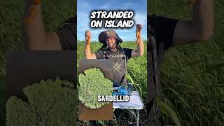 Survived 1 hour on deserted island 🏝️ only with 8 sausages and a pan 🍳 #truestory #resilience