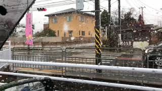 2018年1月22日平塚にも大雪が降りました。