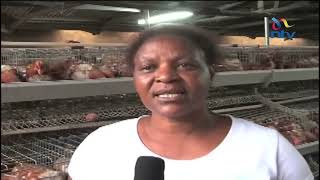 Poultry farmers urge government to limit amount of imported eggs