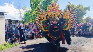 Barong kumbo jwk jaranan Wongso Kenongo live kaligung