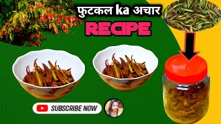 फुटकल अचार|Phutkal ka achar