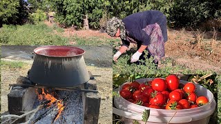 From Farm to Table: How Gina and the Villagers Make Traditional Tomato Paste