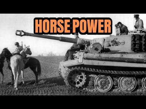 Why did Germany use so many horses in WW2?