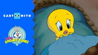 Baby Looney Tunes | Scary Night | Cartoonito UK 🇬🇧
