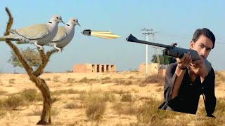 bird hunting with airgun / dove hunting /fakhta ka shikar / air rifle hunting in pakistan very munda