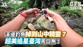 溪邊釣魚掉到山中精靈？超美追星臺灣馬口魚！《VS MEDIA》