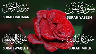 Surah Yaseen ❤️ Surah Rahman ❤️ Surah Mulk ❤️ Surah Waqiah Beautiful Voice ❤️ Heart Soothing