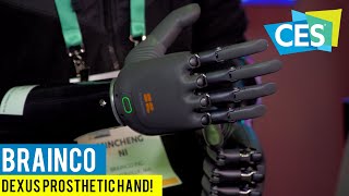 The Innovative and Affordable Dexus Prosthetic Hand! The Latest Products from BrainCo at CES 2020!