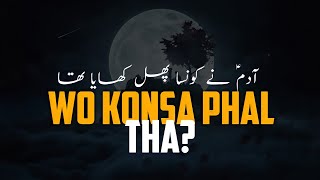 Hazrat Adam (A.S) ne Jannat Ka Konsa Phal Khaya Tha?? | Very Informative Reminder #listentheislamq.k