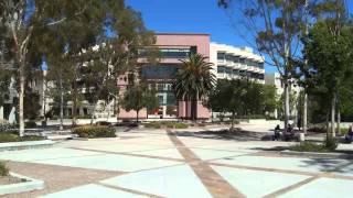 La Jolla University of California San Diego UCSD a visual ca