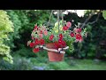 cheap and incredibly easy garden decoration inspiration