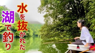 湖の水を全部抜かれて生まれ変わった鎌北湖でへらぶな釣り