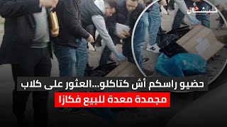 حضيو راسكم أش كتاكلو...العثور على كلاب مجمدة معدة للبيع فكازا شوفوا كيدارو ليها