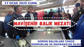 MAVİŞEHİR BALIK MEZATINDA KEYİFLİ BİR GÜN OLDU. 17 OCAK 2025 CUMA.