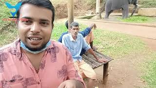 രാജ്യാന്തര തലത്തിലേക്ക് 🐘കോന്നി ഇക്കോ ടൂറിസം🐘 ആനക്കൂട്ടിലെ വിശേഷങ്ങൾ#konnieccotourism#pathanamthita