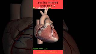 Human Heart Anatomy , #amazingfacts , #amazing , #shotrs , @ProfessorOfHow , #humanheart , #viral