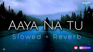 Aaya Na Tu | Slowed + Reverb | Arjun Kanungo | Momina Mustehsan | Lofi Song