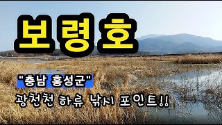 [홍성]_ 보령호 / 광천천 하류 / 초겨울과 이른 봄 특급 포인트 /배스터 / 충남 홍성군 은하면 장척리 1159