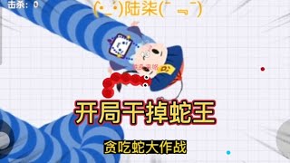 这几条蛇王有欺负过你吗，看我怎么收拾他们#贪吃蛇大作战