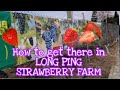 How to get there in LONG PING STRAWBERRY FARM |GiNZ CHANNEL