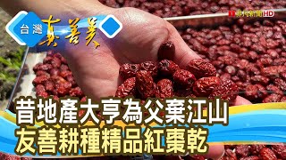 用努力證明的“精品紅棗”｜徐家紅棗果園｜【台灣真善美】2024.08.11