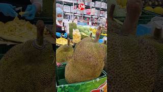 WOW The Biggest Jackfruit Over 50 Kg #viral #youtubeshorts #shorts