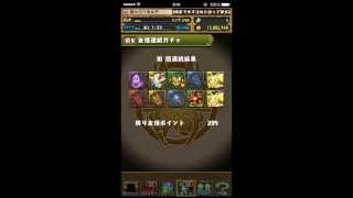 パズドラ【進化カーニバル　友情ガチャ】30連続　へっぽこ3号