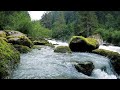 rushing river sounds to help relax chill in 4k