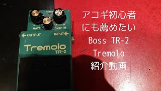 アコギ初心者にも薦めたい -BOSS TR-2 Tremolo紹介動画-