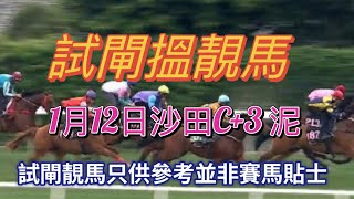 1月12日沙田C + 3跑道 泥地試閘搵靚馬