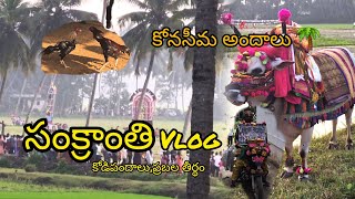 కోనసీమ లో సంక్రాంతి #pongal #celebration #2025 #trending #sankranthi #minivlog