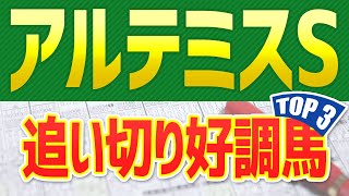 【アルテミスステークス2022予想】追い切り・調教のシュミレーションが好評価だった「トップ3」はこの馬だ🐴 ～JRAアルテミスSはリバティアイランドに死角なし～