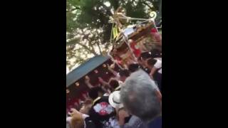 平成28年度 浜降り祭 三島大神 宮入り②