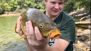 Carp Fishing Lake Lanier + Underwater Carp Footage