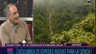 Descubren 20 especies nuevas para la ciencia