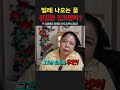 벌레가 출연하는 꿈 정말로 불길한 전조일까요 이 비밀 함께 풀어봅시다 용군tv 강화별상 일월당 shorts