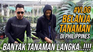 (Vlog) Belanja Tanaman Di Philippines Untuk Project Mega Paludarium