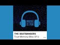 THE BEATBANGERS - True Memory Bliss Of U (Extended Mix)