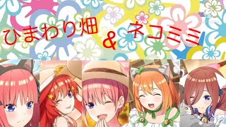 【スマホ編集・投稿、ゆっくり実況】ごとぱず実況part7「ひまわり畑ガチャとネコミミRECOLORガチャを引いてみたら……」