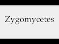 How to Pronounce Zygomycetes