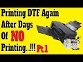 Printing DTF Again After Days of NO Printing ! Pt.1 Don't Allow Your Printer To Get Clogged.