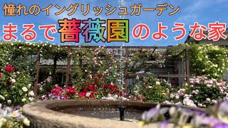 ガーデニングdiy｜190種類の薔薇が咲き誇る庭をガーデンツアーしてみた｜A garden full of roses