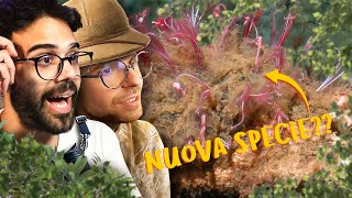 NUOVE SPECIE DI PESCI ABISSALI | Lo Zoo di Dario e Willy (ft. ZooSparkle)