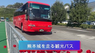 【熊本城】城彩苑 の観光バス　その２　大型車特集