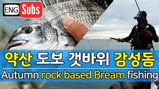 [English]Walkabout Autumn Bream fishing in Korea(ISO float)