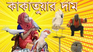 Cockatoo Price in Bangladesh